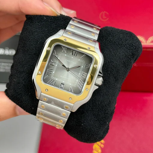 Cartier Santos De Cartier CRW2SA0030 Demi Yellow Gold - VIP Version