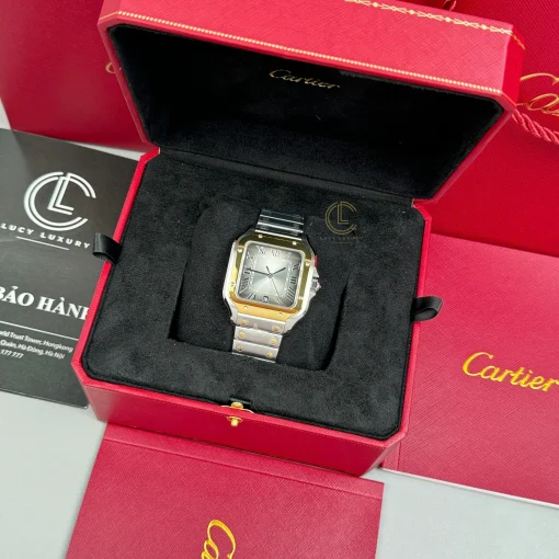 Cartier Santos De Cartier CRW2SA0030 Demi Yellow Gold - VIP Version