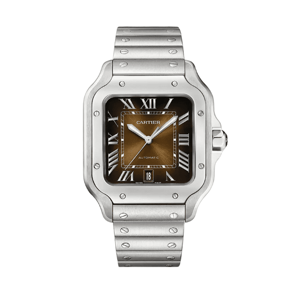 Cartier Santos De Cartier WSSA0064 39.8mm Chocolate Dial -VIP Version
